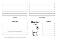 Lama-Faltbuch-vierseitig-1.pdf